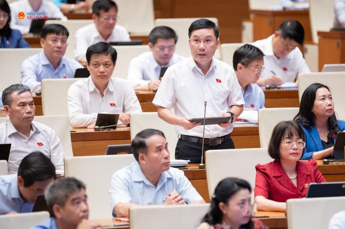 ĐBQH Lê Hoàng Anh (Gia Lai) phát biểu. Ảnh Phạm Thắng