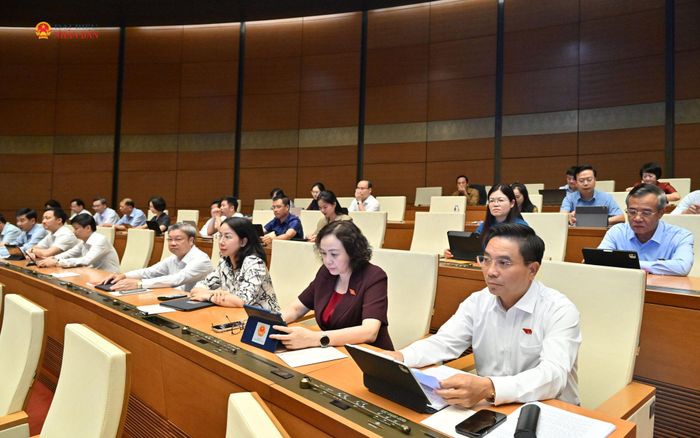 Phó Chủ tịch Quốc hội, Thượng tướng Nguyễn Doãn Anh và các đại biểu tham dự phiên họp. Ảnh: Quang Khánh