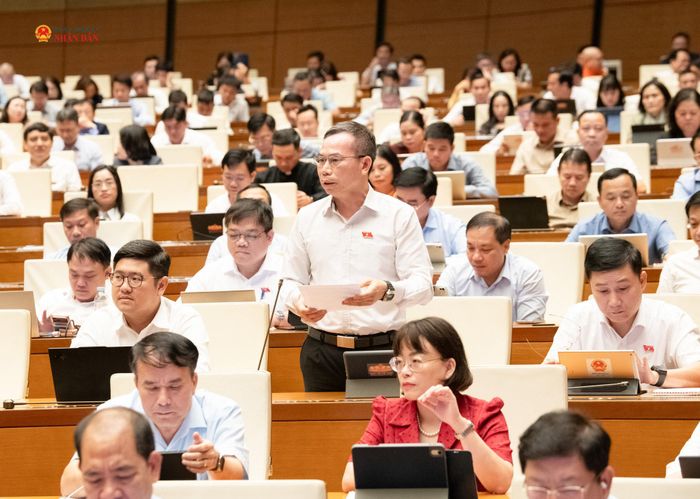 ĐBQH Đồng Ngọc Ba (Gia Lai) phát biểu. Ảnh: Lâm Hiển