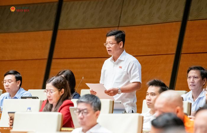 ĐBQH Vũ Tuấn Anh (Phú Thọ) phát biểu. Ảnh: Lâm Hiển