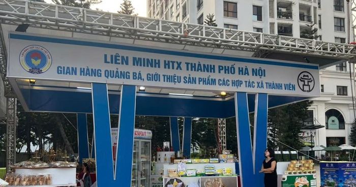 Đẩy mạnh chuyển đổi số và xúc tiến thương mại bền vững.