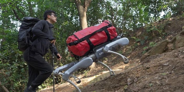 Robot bốn chân A2 của Unitree Robotics. Ảnh: Unitree Robotics