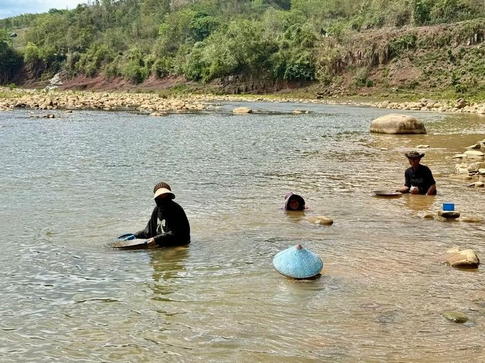 Mùa nước cạn, nhiều người dân Pa Cô, Vân Kiều xuống lòng sông Đakrông mưu sinh bằng nghề đãi vàng.