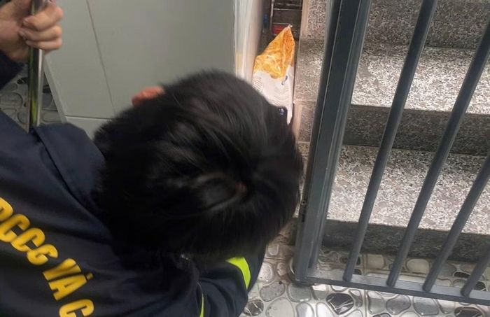 Sử dụng các biện pháp khống chế con rắn.