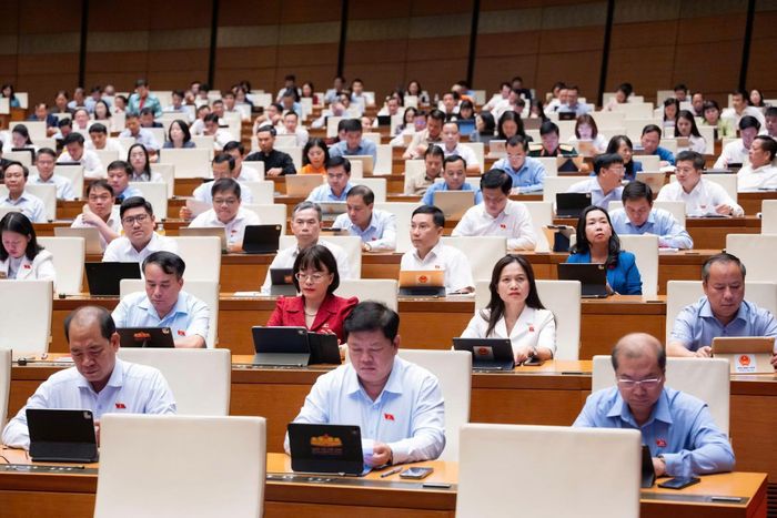 Các đại biểu dự phiên họp.