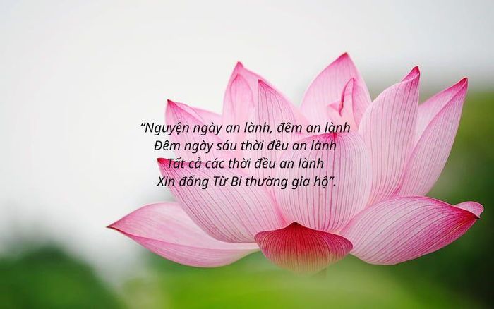 Hình minh họa. Nguồn: Internet
