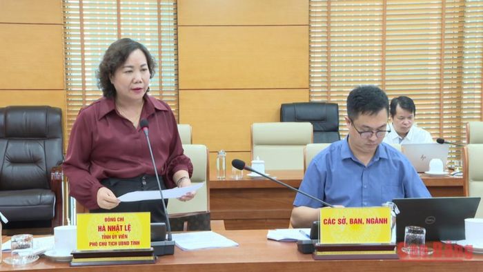 Phó Chủ tịch UBND tỉnh Hà Nhật Lệ phát biểu tại cuộc họp.