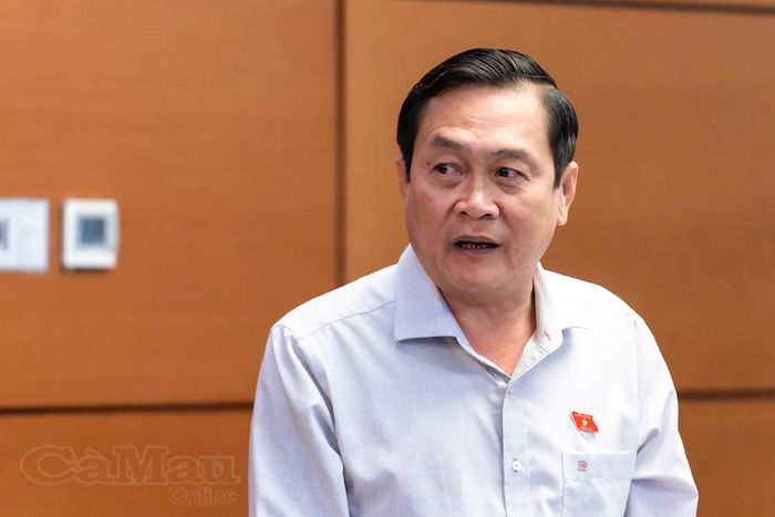 Đại biểu Hồ Việt Triều phát biểu tại phiên thảo luận.