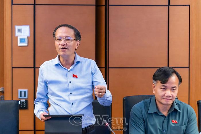 Đại biểu Đinh Ngọc Minh phát biểu tại phiên thảo luận.