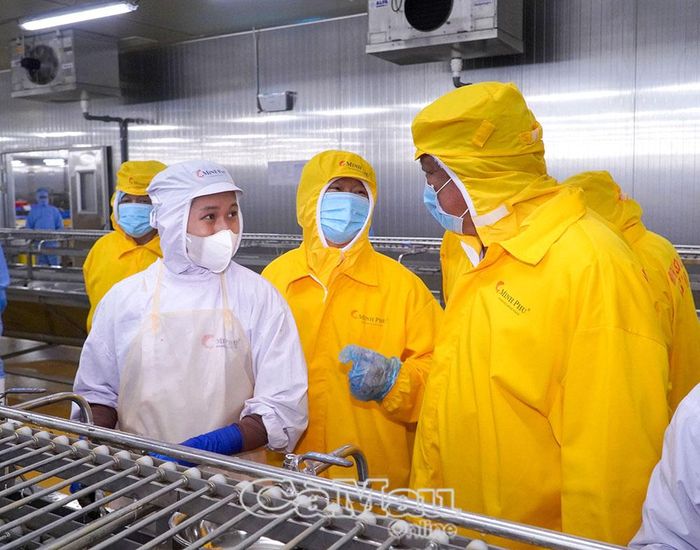  Phó Chủ tịch Thường trực UBND tỉnh thăm hỏi công nhân làm việc tại Công ty TNHH Chế biến thủy sản Minh Phú Khánh An.