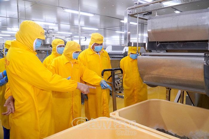 Đồng chí Lâm Văn Bi tham quan khu chế biến của Công ty TNHH Chế biến thủy sản Minh Phú Khánh An