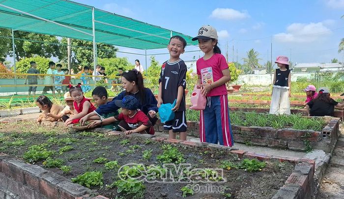 Cô và trò Trường Mầm non Vĩnh Thanh, xã Vĩnh Thanh trong hoạt động sinh hoạt ngoài trời, tìm hiểu thế giới xung quanh.
