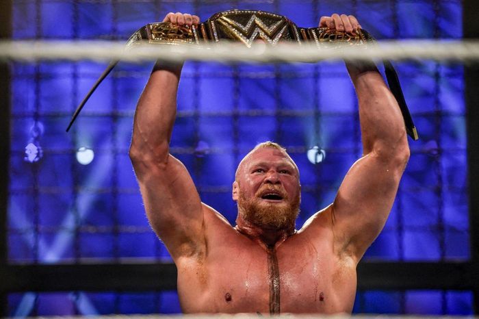 Brock Lesnar đã để lại một di sản khổng lồ ở ngành đấu vật cũng như MMA