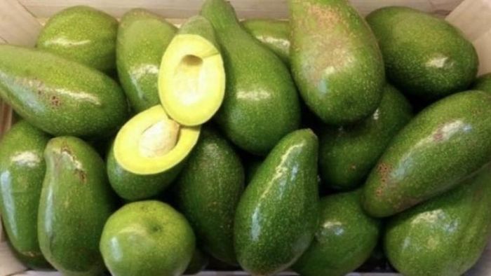 Bạn cũng có thể cho bơ vào thùng gạo để ủ. Ảnh minh họa