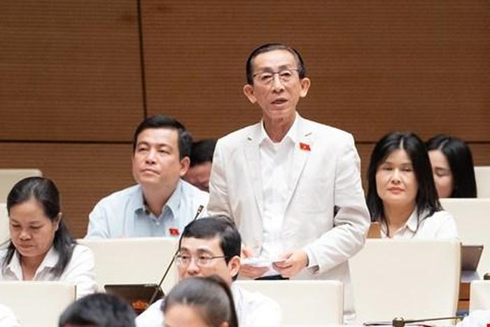 Đại biểu Trần Hoàng Ngân, Đoàn ĐBQH TP. Hồ Chí Minh