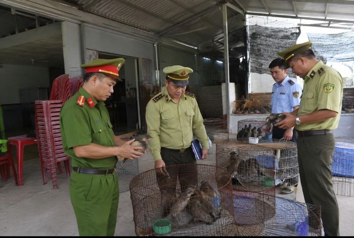 Đồng Tháp yêu cầu tăng cường kiểm tra, xử lý các hành vi săn bắt, mua bán, vận chuyển và tiêu thụ trái phép động vật hoang dã. Ảnh minh họa.
