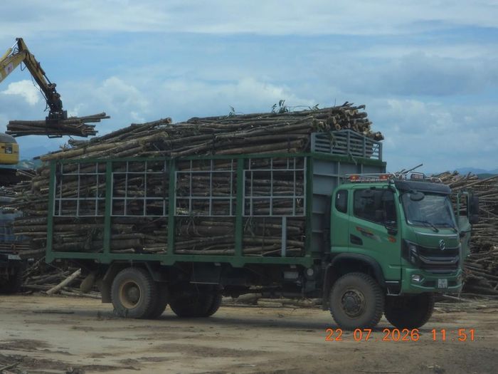  Hoạt động sản xuất tại điểm chế biến lâm sản của HTX Trường Hải, thôn Hải An, xã Cồn Tiên, tỉnh Quảng Trị đang bổ sung thủ tục phòng cháy chữa cháy 