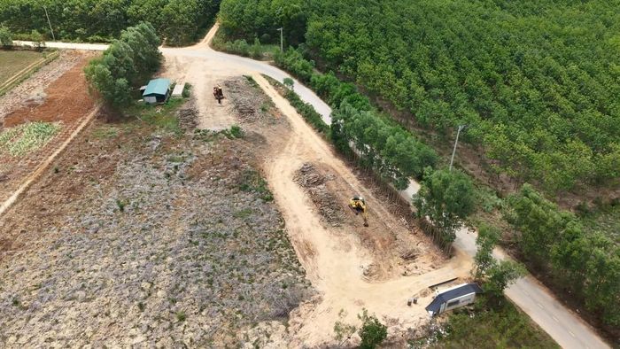  Điểm tập kết lâm sản của Công ty Tiên Phong tại thôn Hải An, xã Cồn Tiên, tỉnh Quảng Trị tỉnh Quảng Trị đang tiếp tục hoàn thiện hồ sơ bảo vệ môi trường, đấu nối 