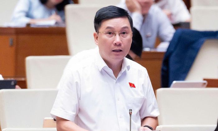 Đại biểu Quốc hội Lê Hoàng Anh (Đoàn Gia Lai).