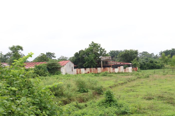 Trang trại chăn nuôi lợn được xác định vi phạm về đất đai, gây ô nhiễm tại thôn Thạch Lỗi, xã Nội Bài. Ảnh: Vũ Cường.