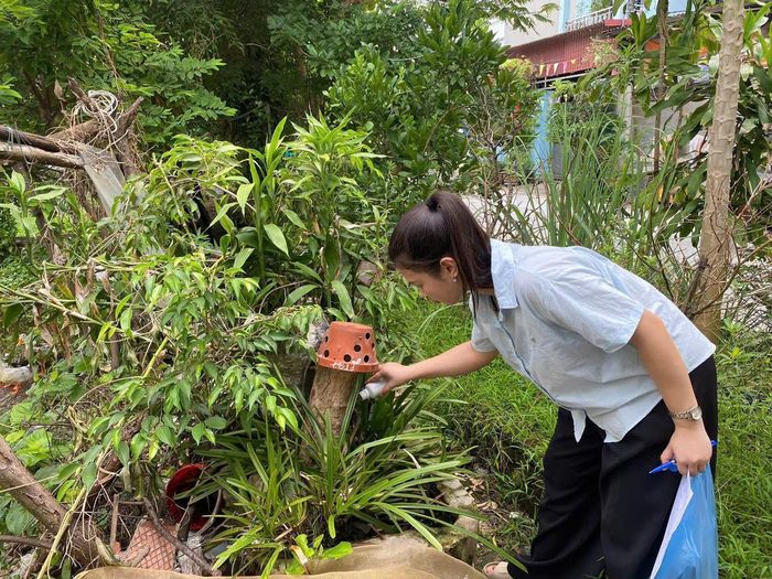 Sử dụng thuốc nhằm diệt bọ gậy, loăng quăng. Ảnh: Nguyễn Hiên.