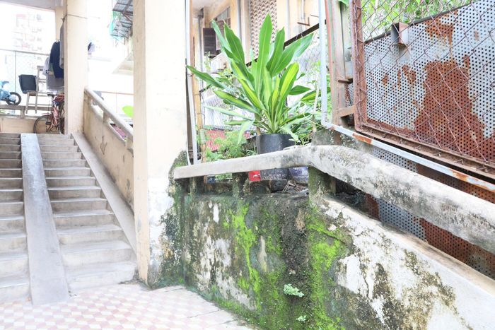 Sau hơn 30 năm đưa vào sử dụng, nhà chung cư 15C Trần Khánh Dư hiện đã xuống cấp nghiêm trọng.