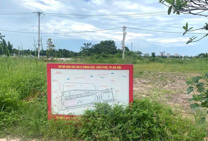 Sơ đồ khu đất đấu giá ĐG12/2019. Ảnh: PV