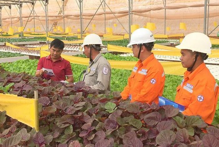 Lịch cúp điện Bình Thuận cũ hôm nay đến hết tuần được cập nhật tại website của Tổng công ty Điện lực miền Nam (EVNSPC).