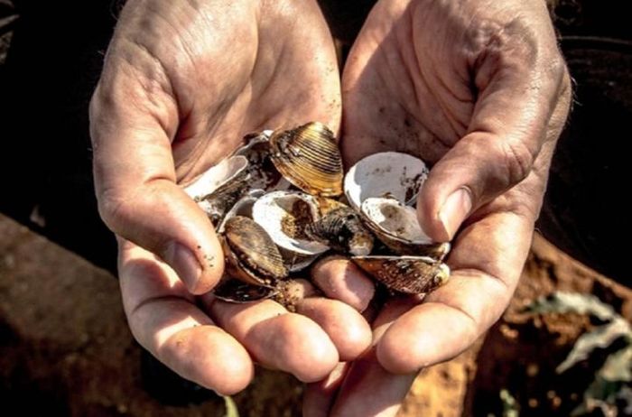 Tại sao người nghèo ở thời cổ đại không thể dễ dàng thay đổi số phận và trở nên giàu có bằng cách ra bờ biển nhặt vỏ sò.