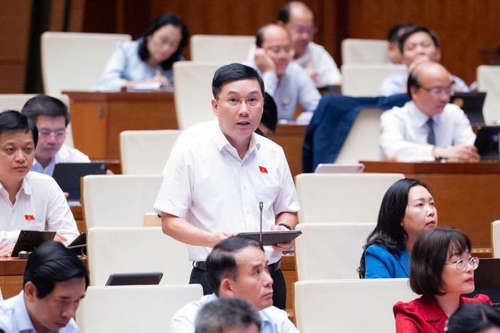 ĐBQH Lê Hoàng Anh - Đoàn Gia Lai. Ảnh: Media Quốc hội