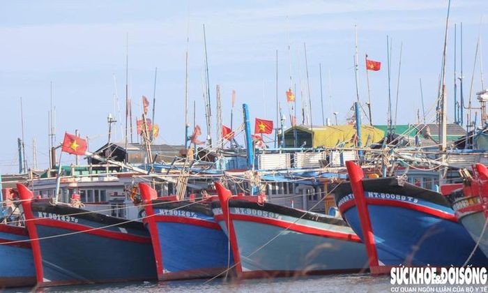 Việc xử lý các tàu cá không báo cáo vị trí khi neo đậu hoặc ngừng khai thác dài ngày cũng còn nhiều vướng mắc. Ảnh: Duy Ngọc.