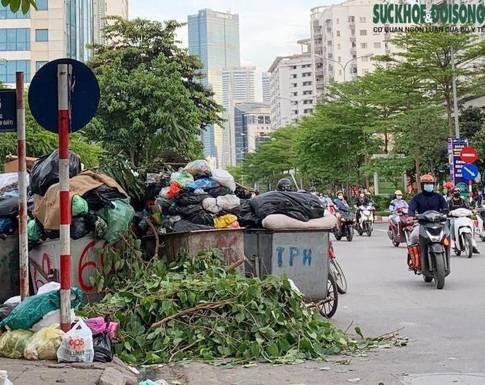Hình minh họa: Lê Bảo