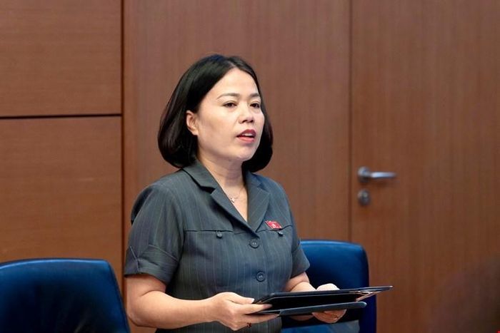 Đại biểu Lý Thị Lan, Đoàn ĐBQH tỉnh Tuyên Quang phát biểu