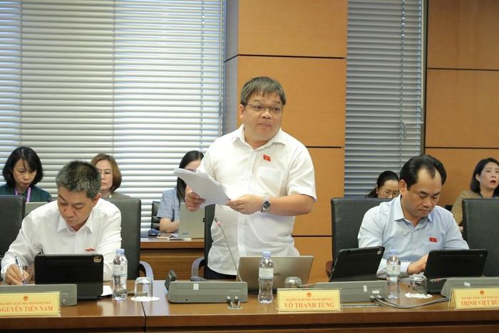 Đại biểu Võ Thanh Tùng phát biểu