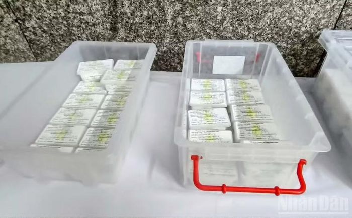 Mẫu hài cốt liệt sĩ được bảo quản theo tiêu chuẩn nghiêm ngặt.