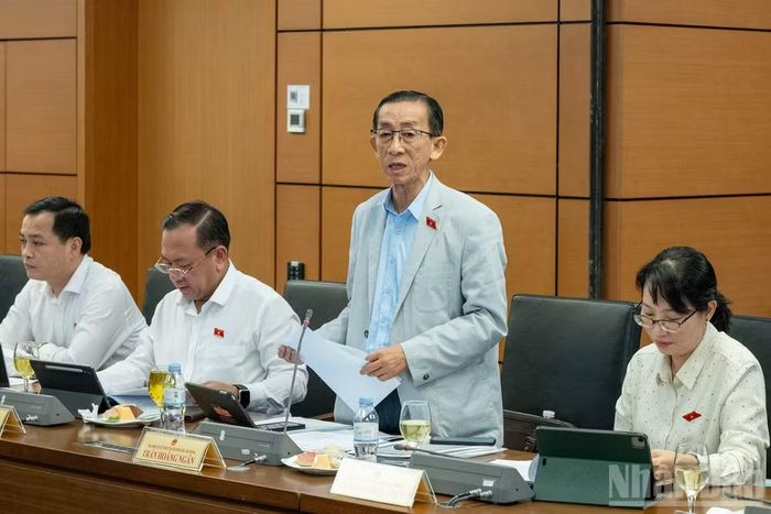 Đại biểu Trần Hoàng Ngân (Đoàn Thành phố Hồ Chí Minh) phát biểu tại tổ. (Ảnh: THỦY NGUYÊN)