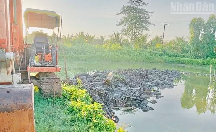 Nước xi-măng và nước bẩn gây ô nhiễm diện tích nuôi tôm của người dân, làm tôm thẻ nuôi bán công nghiệp bị chết. (Ảnh: TRỌNG DUY)