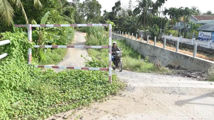 Dự án chưa tái khởi động khiến cho dây leo bám trên cầu.