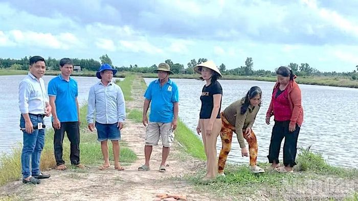 Vụ lúa-tôm 2026-2027, cánh đồng của nhiều nhà nông xã Trí Phải (tỉnh Cà Mau) không còn thấy hiện diện của cây lúa vì nợ chây ì khiến nông dân gặp khó khăn khi tái sản xuất. (Ảnh: HỮU TÙNG)