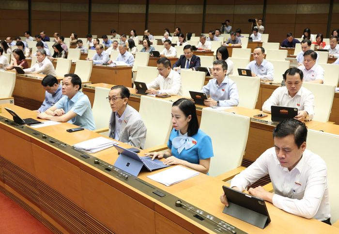  Đại biểu Quốc hội dự phiên họp sáng 6-8. Ảnh: QUANG PHÚC 