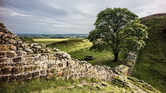 Phần còn lại của Bức tường Hadrian ở Northumberland, Anh (Ảnh: Marc Guitard / Getty Images)