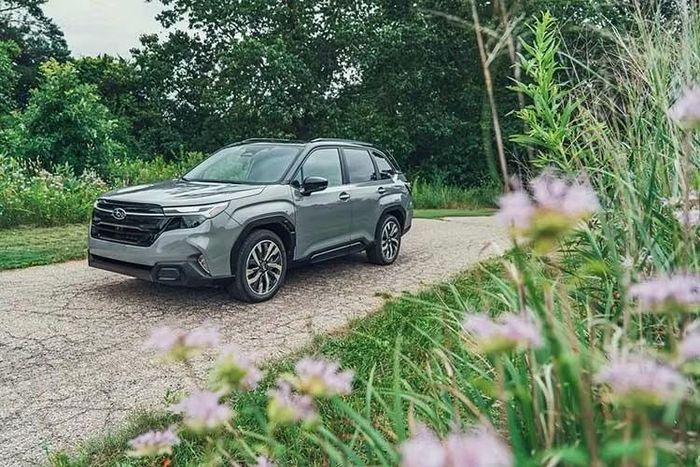 Có thể thấy ưu điểm lớn nhất của Subaru Forester Hybrid chính là động cơ tiết kiệm xăng. Tuy nhiên, giá bán dự kiến khá cao sẽ tác động không nhỏ đến sức hút của mẫu xe này trong phân khúc SUV cỡ C tại Việt Nam, đặc biệt khi so sánh với những đối thủ như Mazda CX-5, Ford Territory và Mitsubishi Destinator.