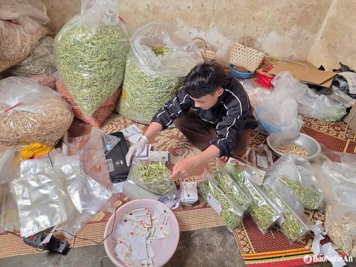 Vũ Văn Giáp đóng gói các sản phẩm rau, củ sấy trước khi giao cho khách. Ảnh: Báo và Phát thanh, Truyền hình Nghệ An.