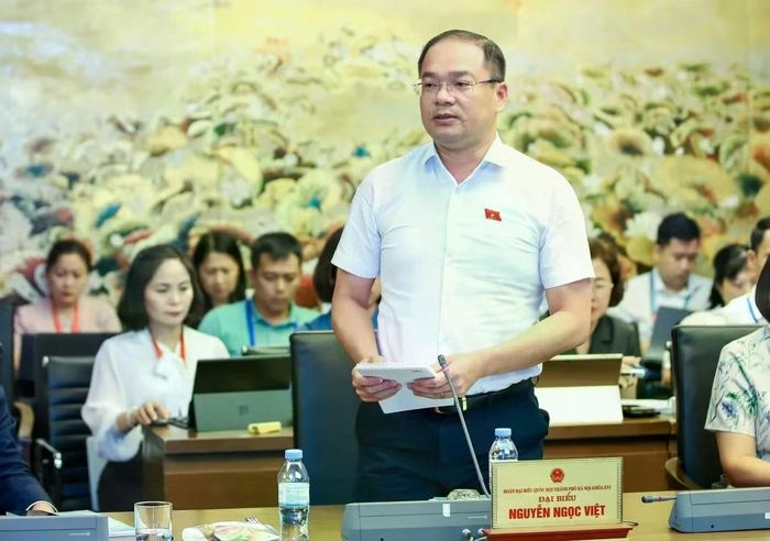 Đại biểu Nguyễn Ngọc Việt.