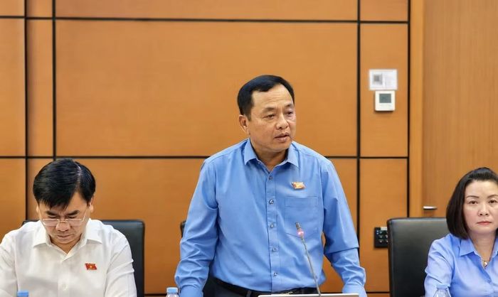 Đại biểu Nguyễn Ngọc Hà.