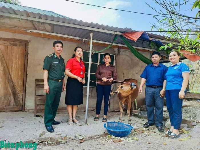 Cán bộ Đồn Biên phòng Mỹ Lý, Bộ đội Biên phòng tỉnh Nghệ An và đại diện các đơn vị trao bò cho hội viên phụ nữ trong Chương trình “Đồng hành cùng phụ nữ biên cương”. Ảnh: Phan Tâm