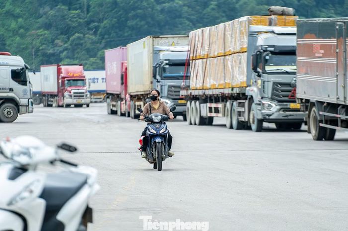 Khu vực bãi xe trước cửa khẩu chật kín các phương tiện từ Việt Nam và Trung Quốc vào làm thủ tục thông quan, sang tải hàng hóa. Một công nhân lái xe nâng tại đây cho biết, mỗi ngày anh cùng các công nhân lái xe ở đây đều tất bật phục vụ công tác sang tải hàng hóa.