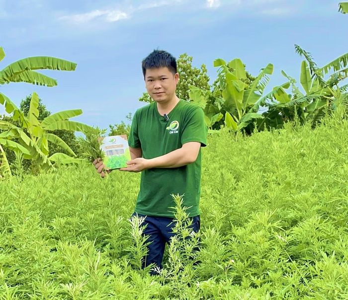 Đề án tiếp sức cho thanh niên khởi nghiệp.