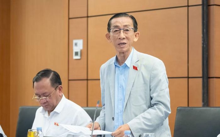 Đại biểu Trần Hoàng Ngân (TPHCM).