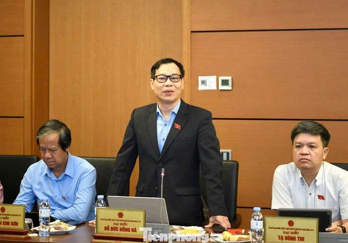  Đại biểu Đỗ Đức Hồng Hà. Ảnh: Như Ý. 